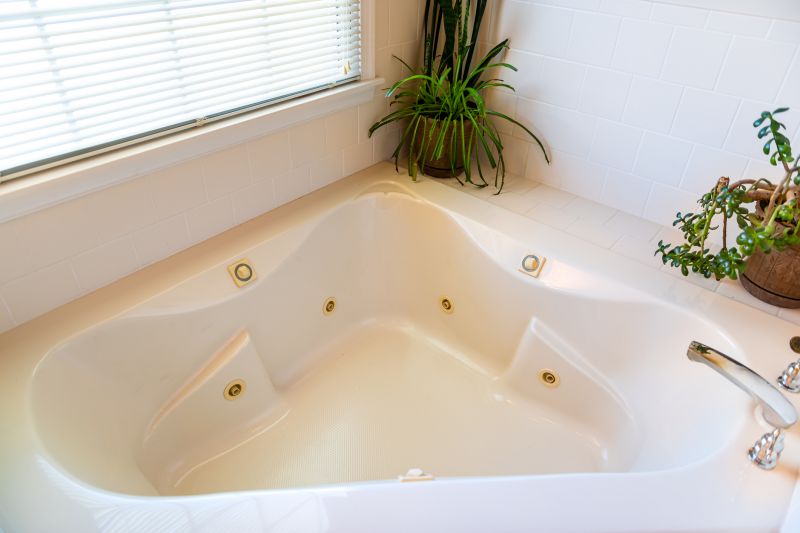 Professional Bathtub Installer